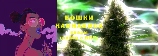 стаф Абаза