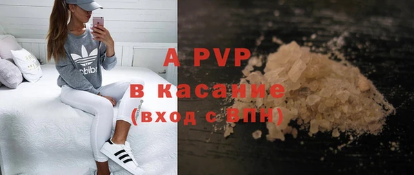 индика Нязепетровск