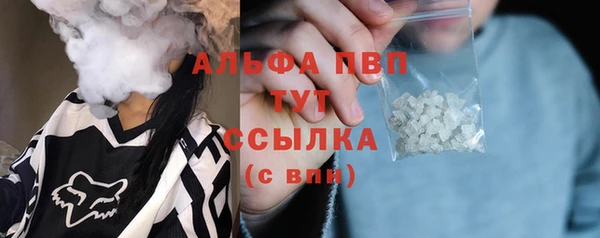 стаф Абаза
