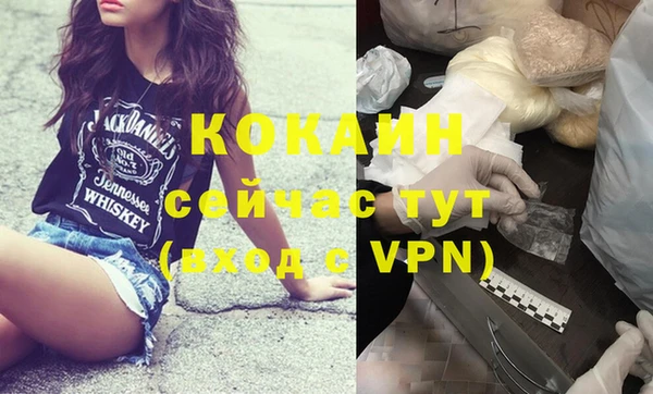 стаф Абаза