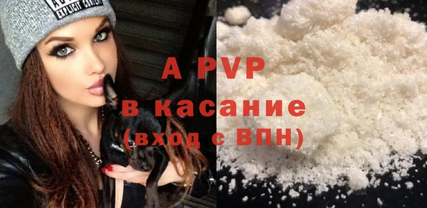 стаф Абаза