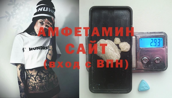 индика Нязепетровск