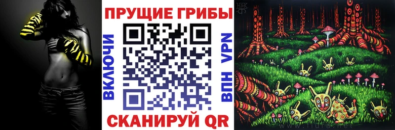 Псилоцибиновые грибы GOLDEN TEACHER  Томари 