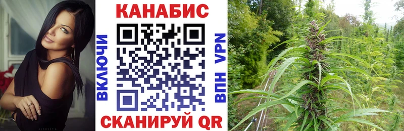 даркнет сайт  Томари  Конопля OG Kush 